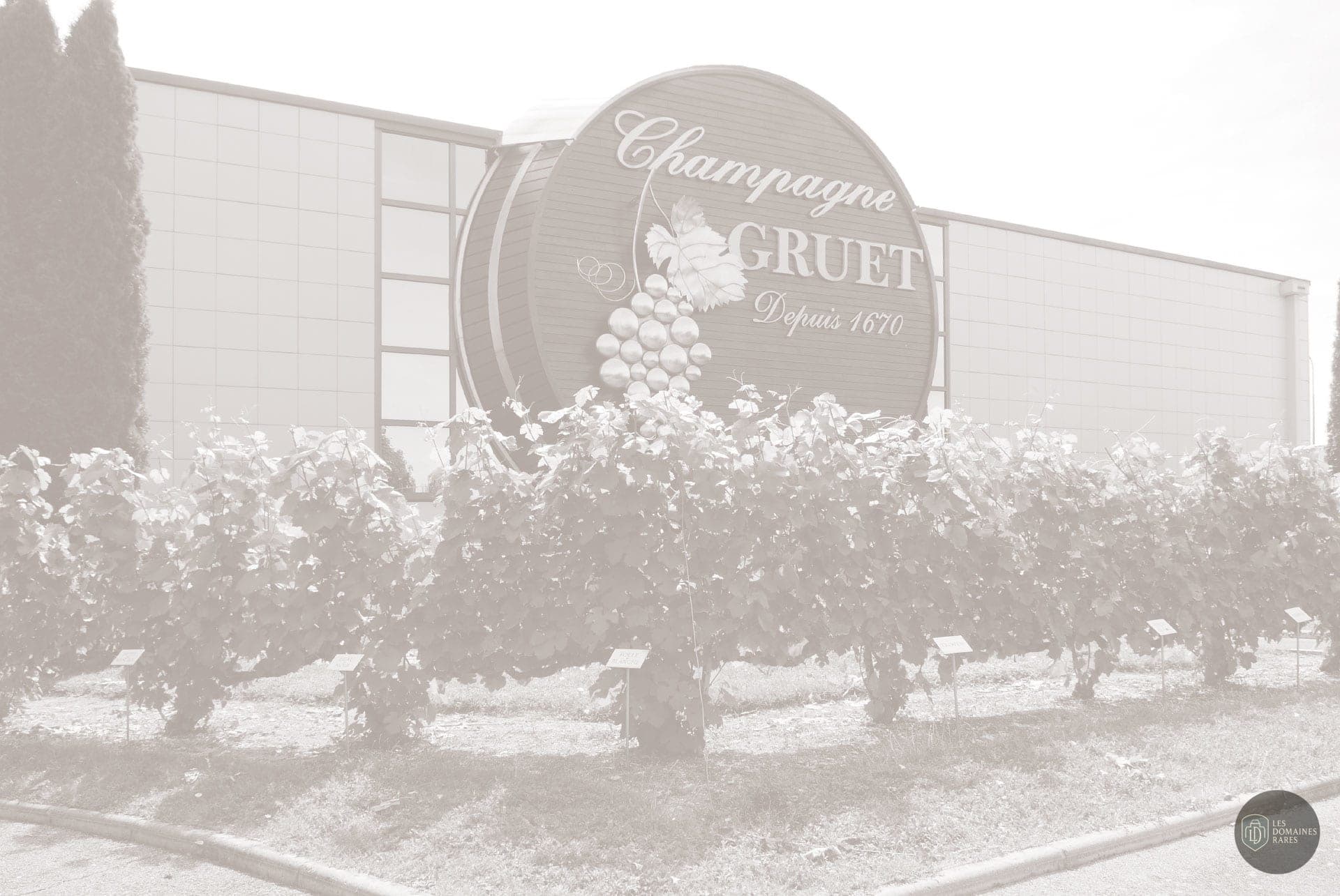 Vue extérieure du domaine Champagne Gruet à Buxeuil en Grand Est