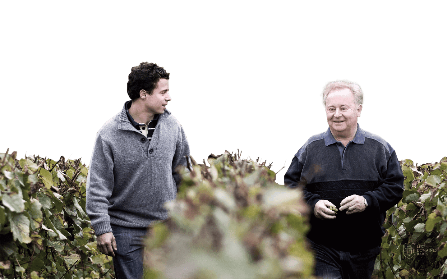 Vue extérieure du domaine Champagne Gruet à Buxeuil en Grand Est