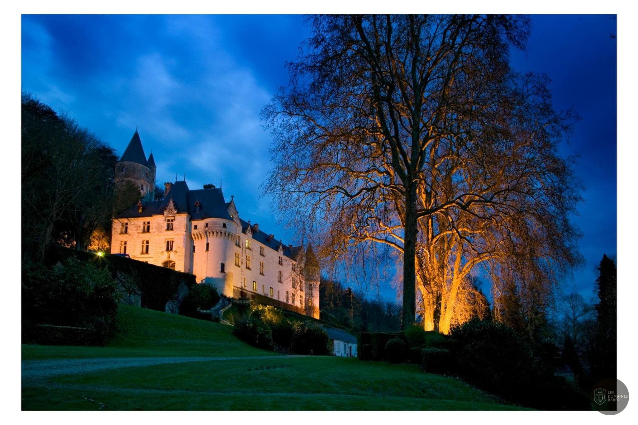 Vue du château Chateau de Chissay à Chissay en Centre-Val de Loire