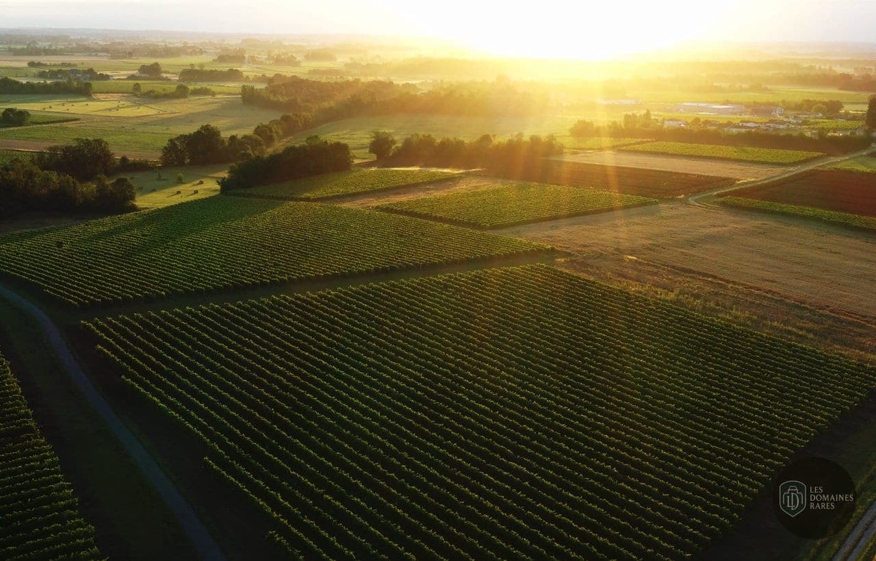 Vue extérieure du château Chateau de Mesnac à Mesnac en Nouvelle-Aquitaine