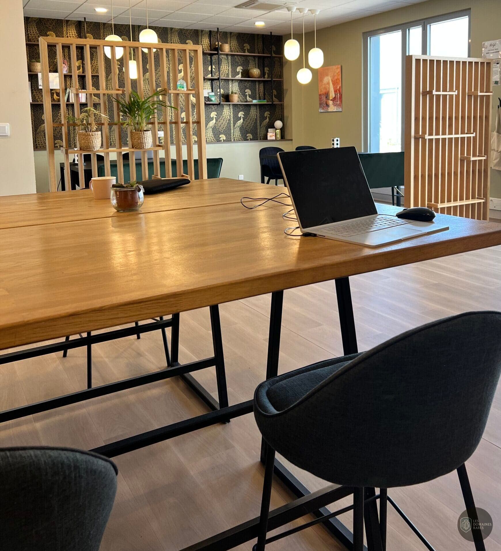 Salle de réunion 2 de l'espace de coworking Chlorofeel à Meyzieu en Auvergne-Rhône-Alpes