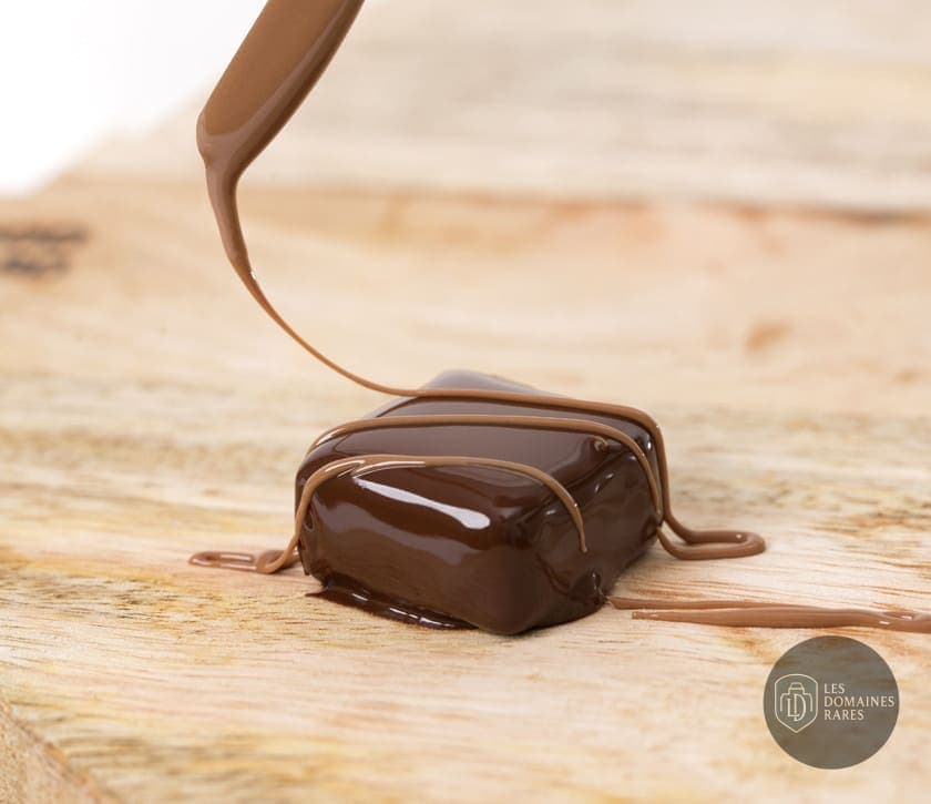 Vue du lieu Chocolaterie de Puyricard à Puyricard en Provence-Alpes-Côte d'Azur