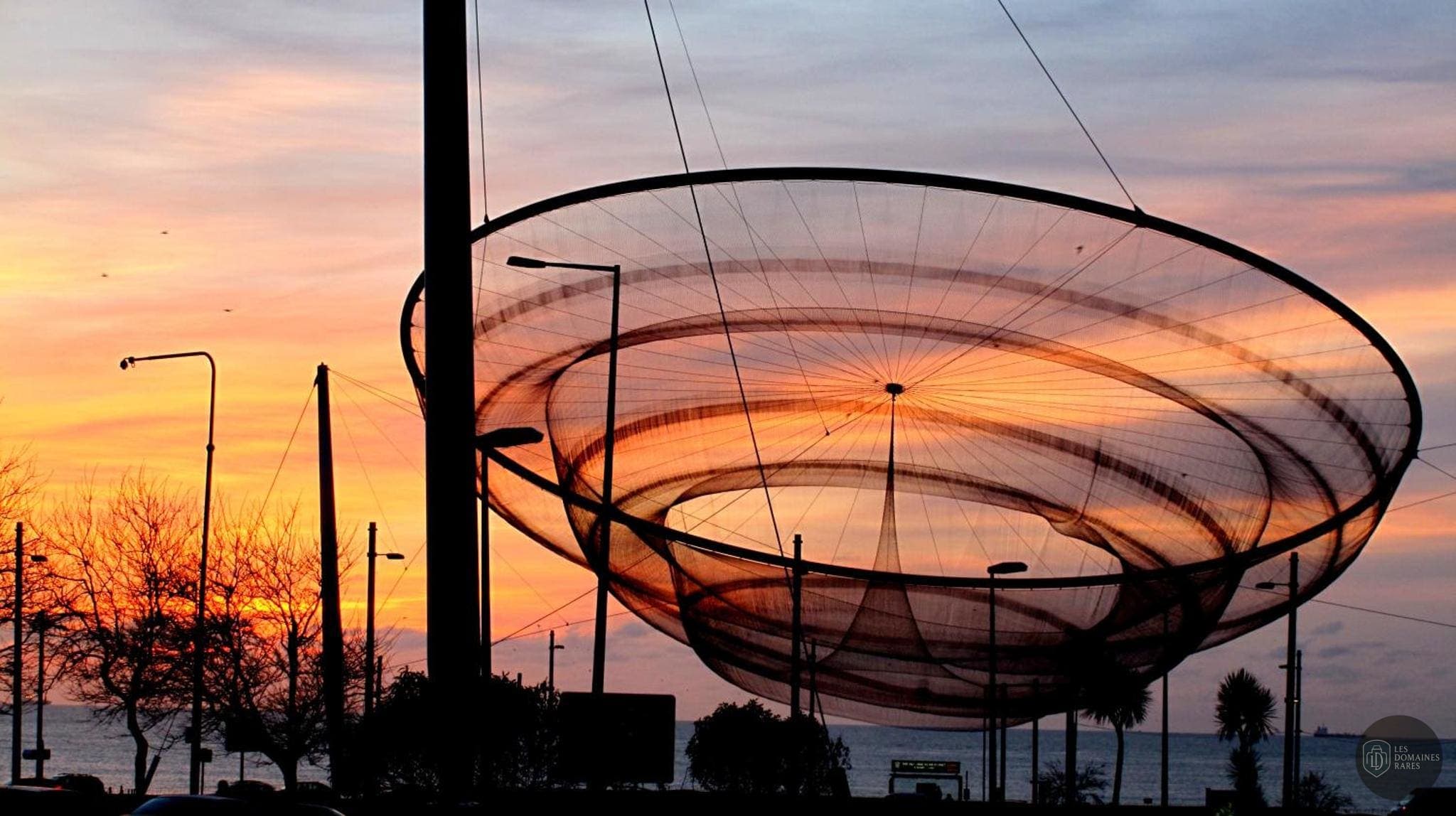 City Surf Park — Extérieur