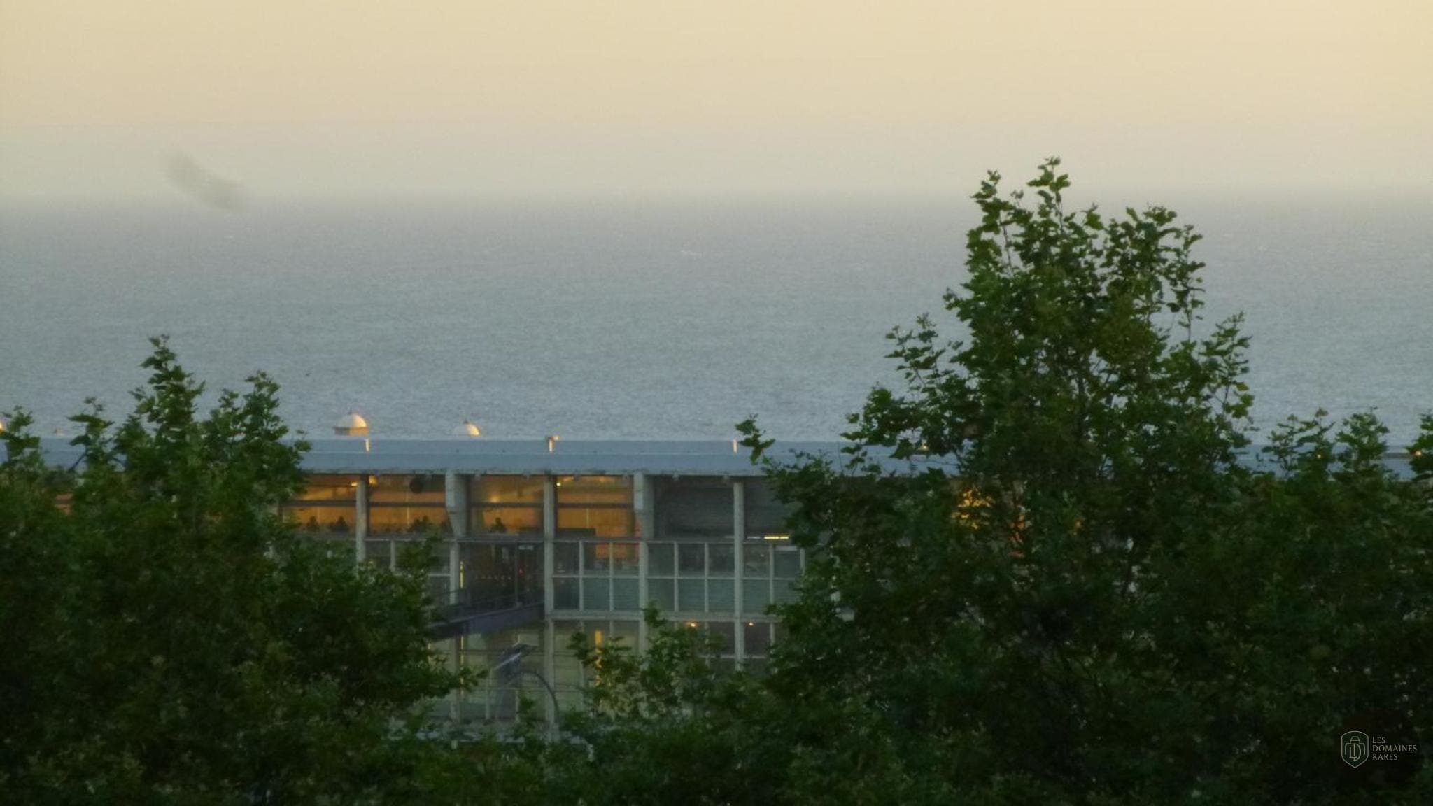 City Surf Park — Extérieur