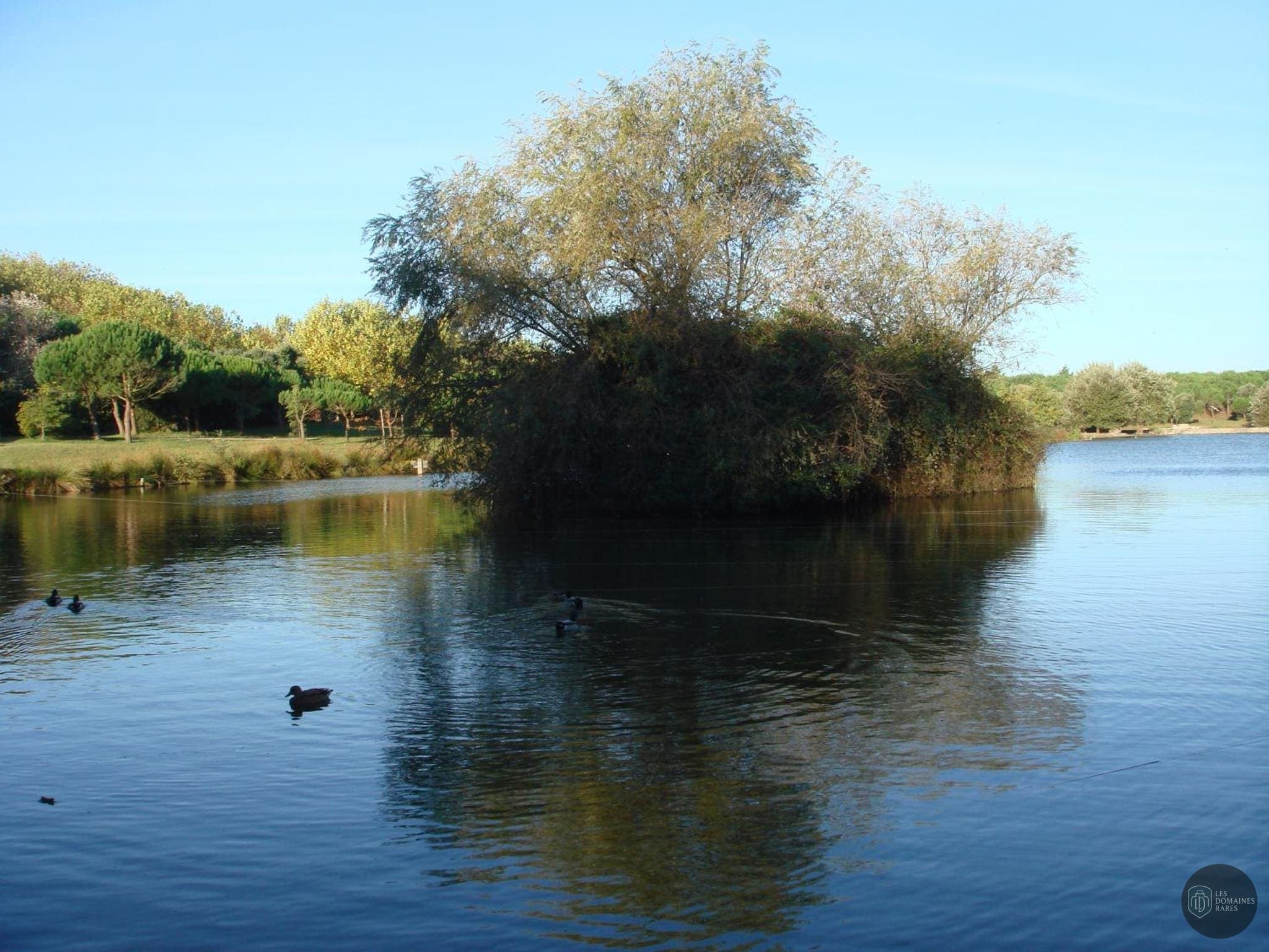 City Surf Park — Extérieur