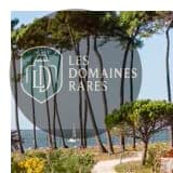 Chemin bordé d'arbres en bord de mer