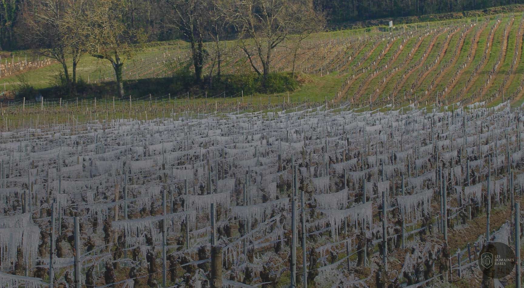 Vue extérieure du domaine Domaine Angelliaume en Centre-Val de Loire