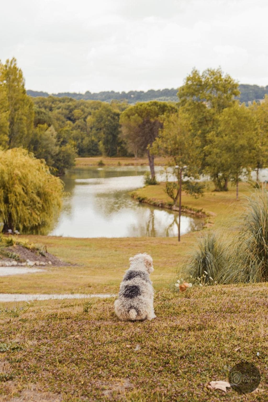 Vue extérieure du domaine Domaine Boulouch à Lectoure en Occitanie