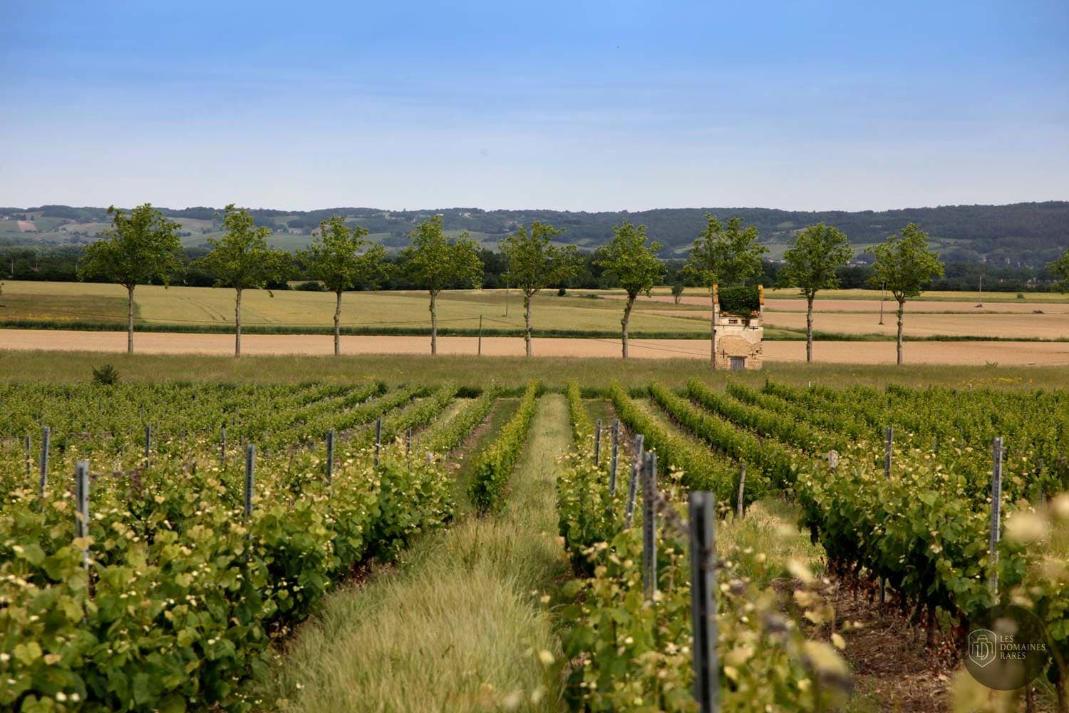 Vue extérieure du domaine Domaine Carcenac à Montans en Occitanie