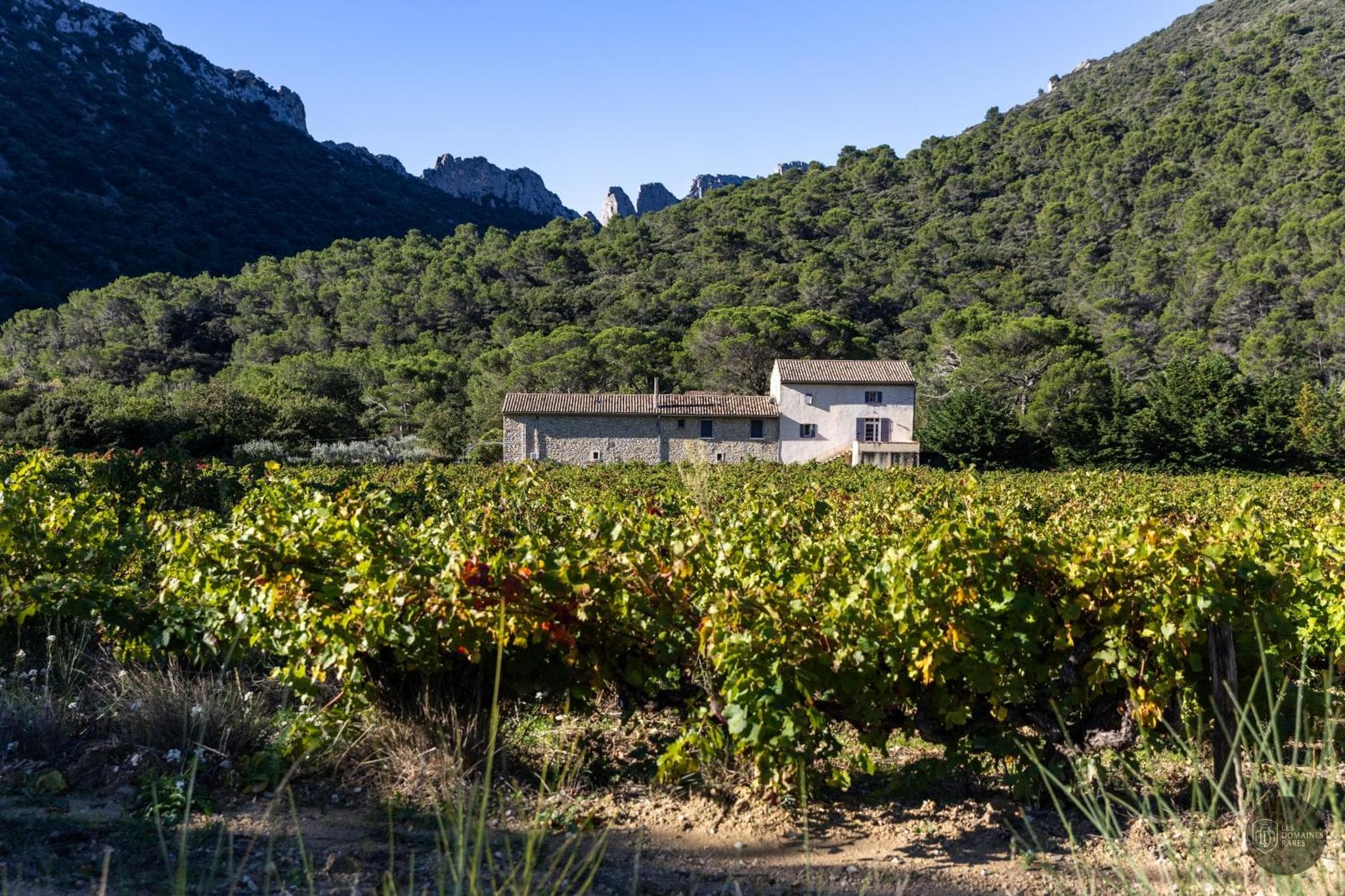 Vue extérieure du domaine Domaine Cassan en Provence-Alpes-Côte d'Azur