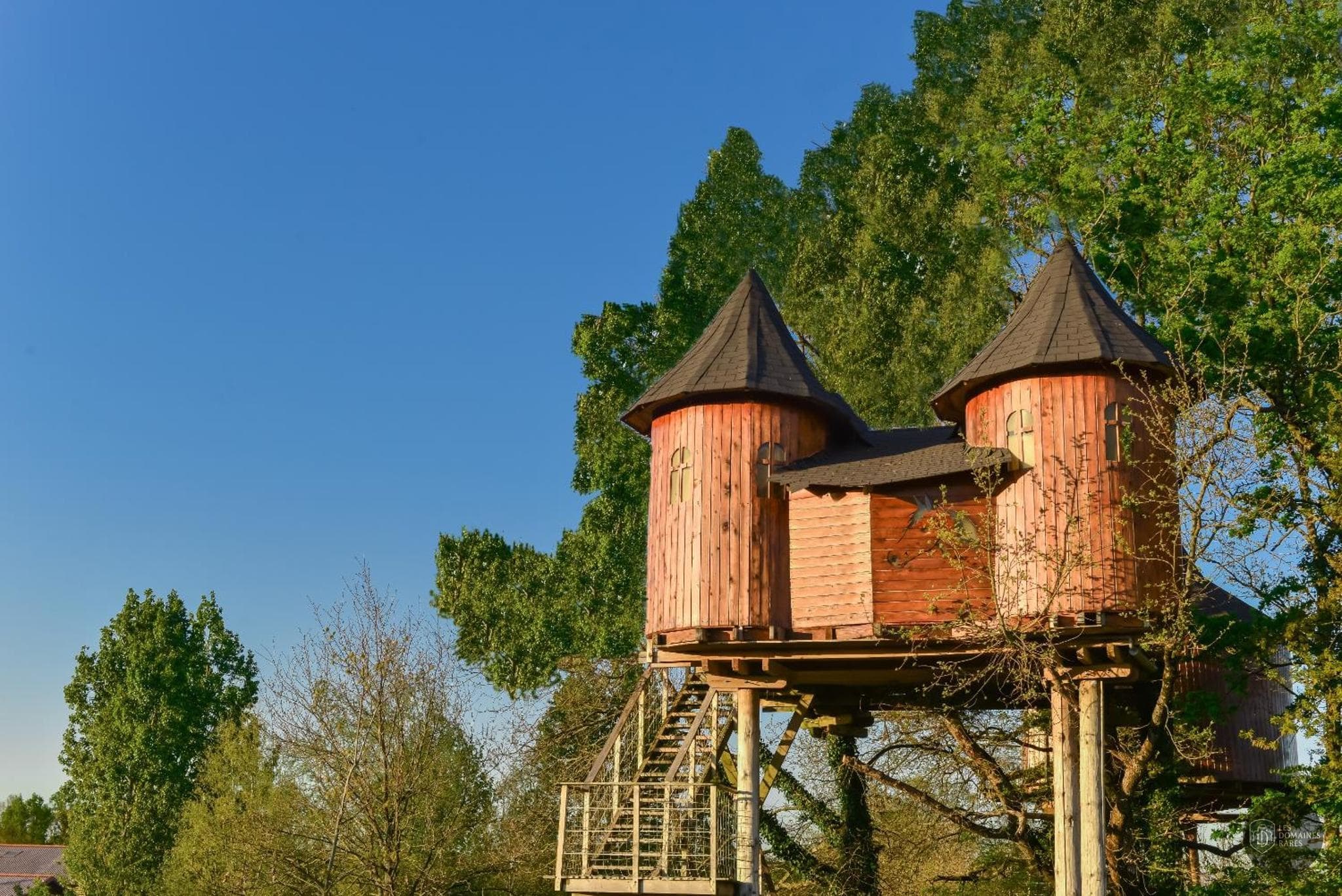 Domaine De Dienné