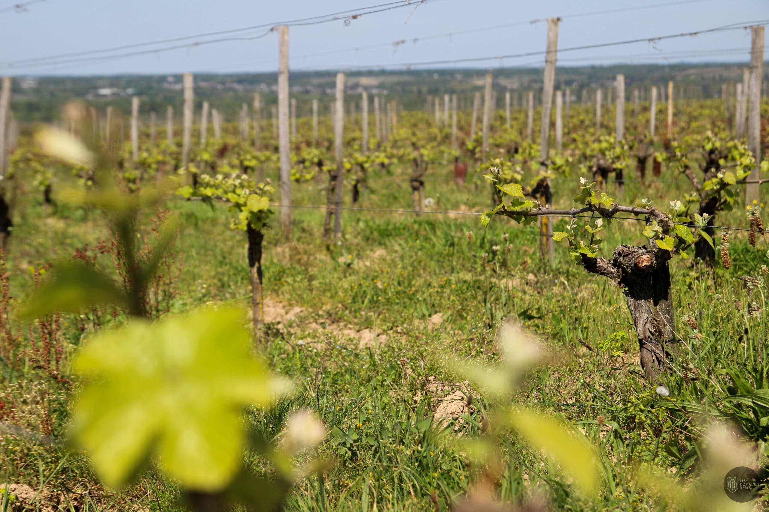Vue extérieure du domaine Domaine FL en Pays de la Loire