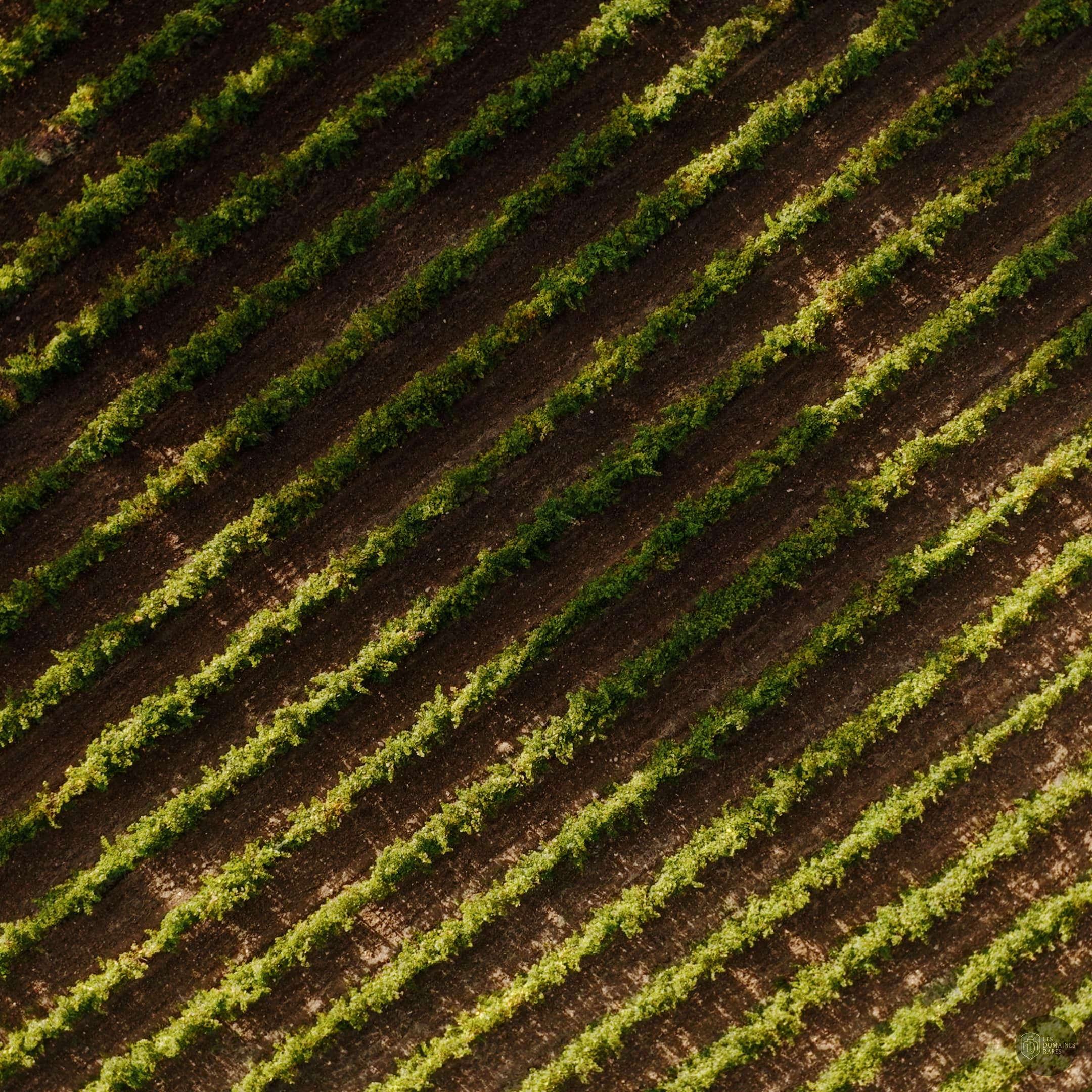 Vue extérieure du domaine Domaine La Gayolle en Provence-Alpes-Côte d'Azur