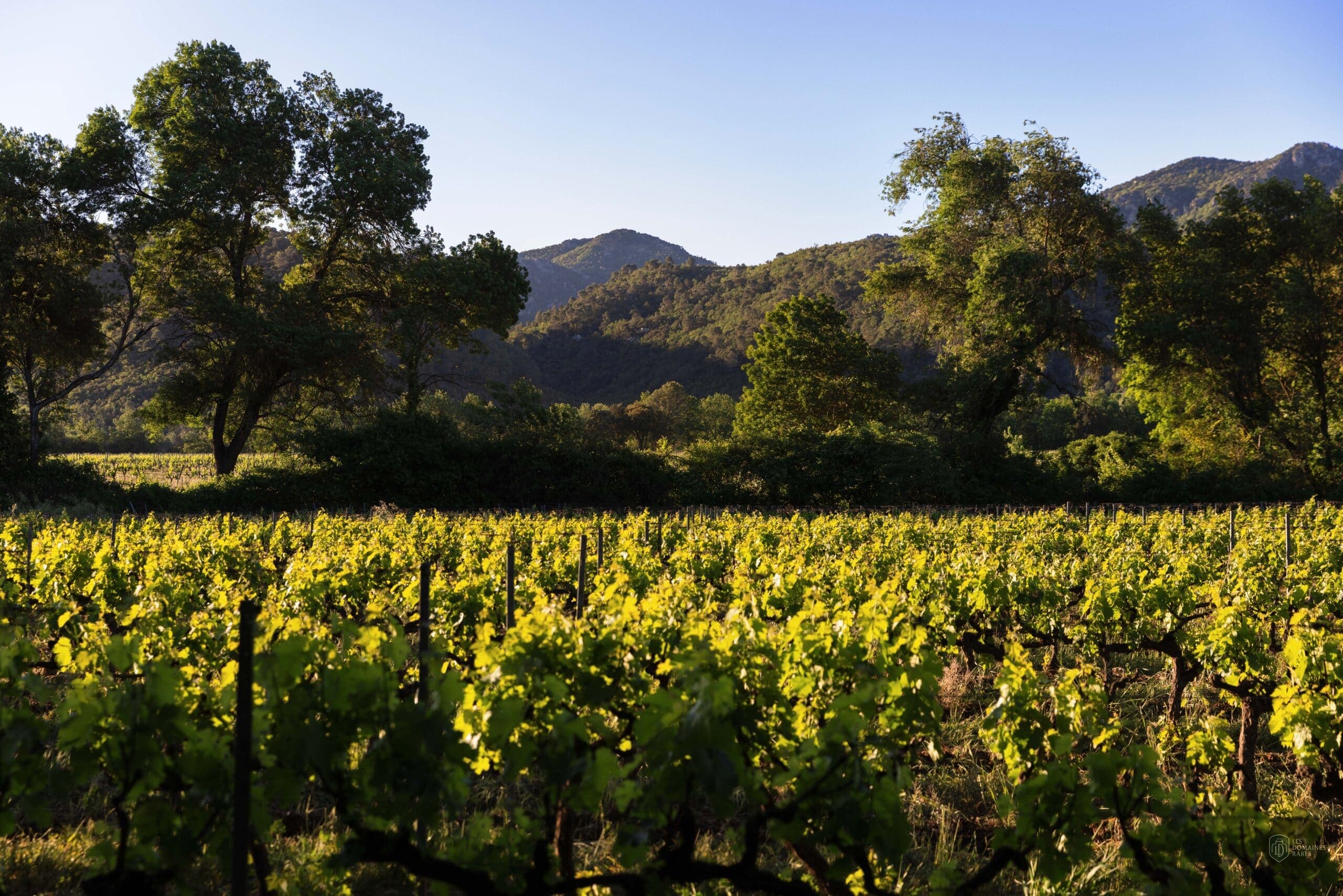 Vue extérieure du domaine Domaine La Gayolle en Provence-Alpes-Côte d'Azur