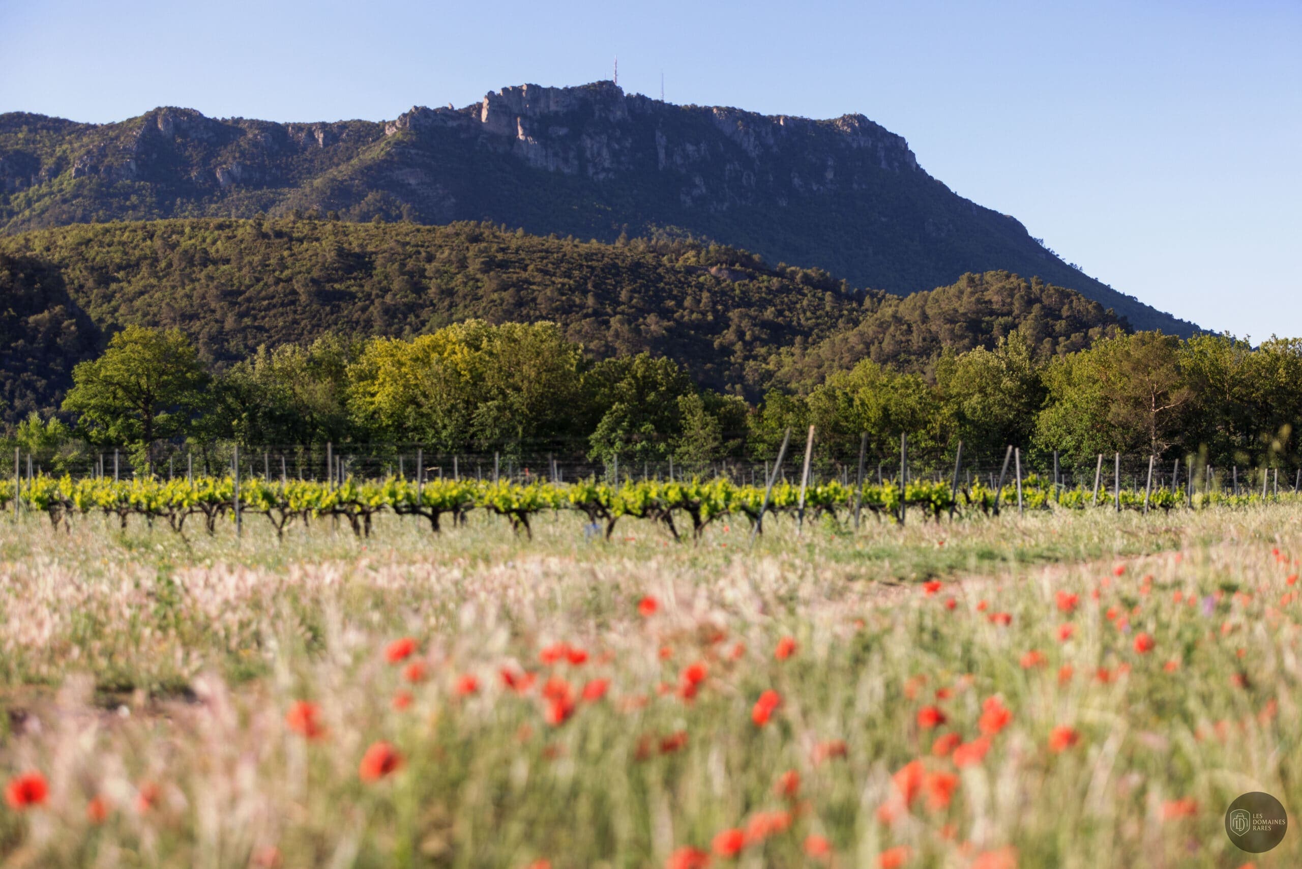 Vue extérieure du domaine Domaine La Gayolle en Provence-Alpes-Côte d'Azur
