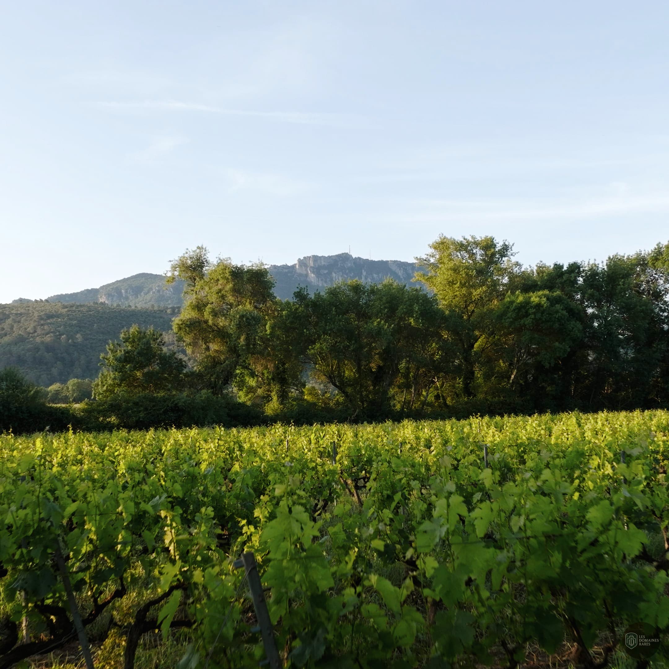 Vue extérieure du domaine Domaine La Gayolle en Provence-Alpes-Côte d'Azur