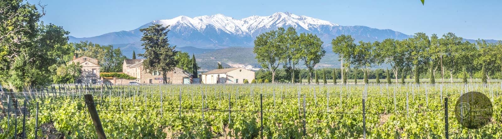 Vue extérieure du château Domaine Lauriga en Occitanie