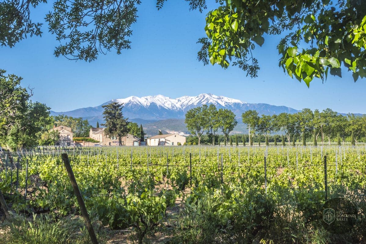 Vue extérieure du château Domaine Lauriga en Occitanie