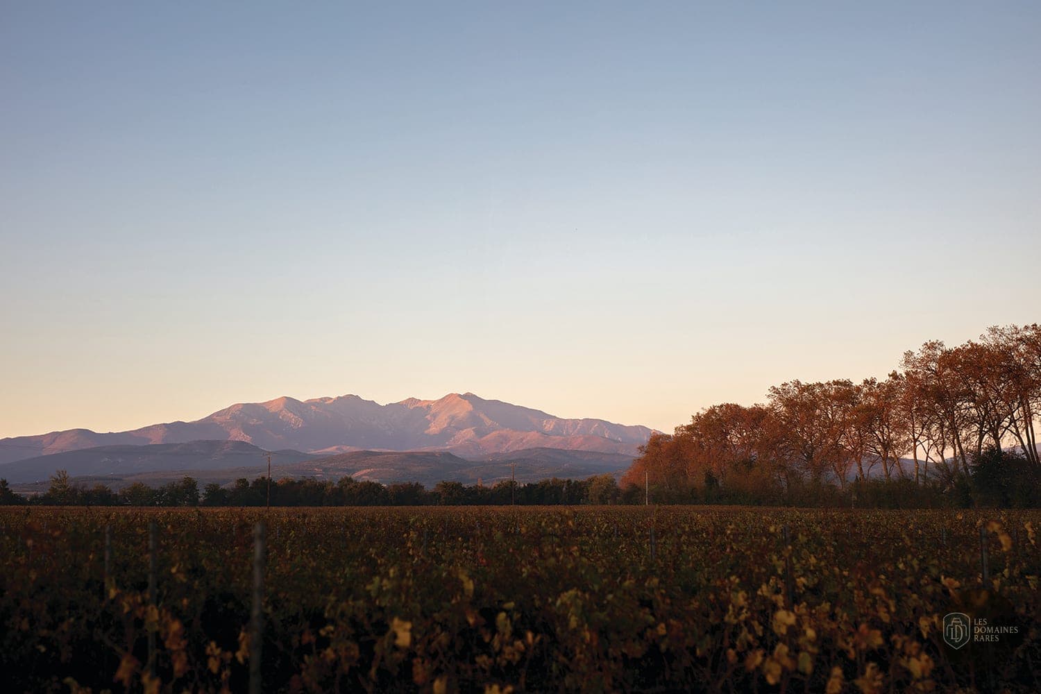 Vue extérieure du château Domaine Lauriga en Occitanie