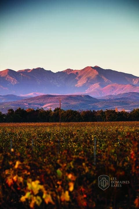 Vue extérieure du château Domaine Lauriga en Occitanie