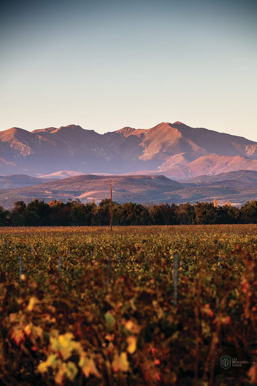 Domaine Lauriga