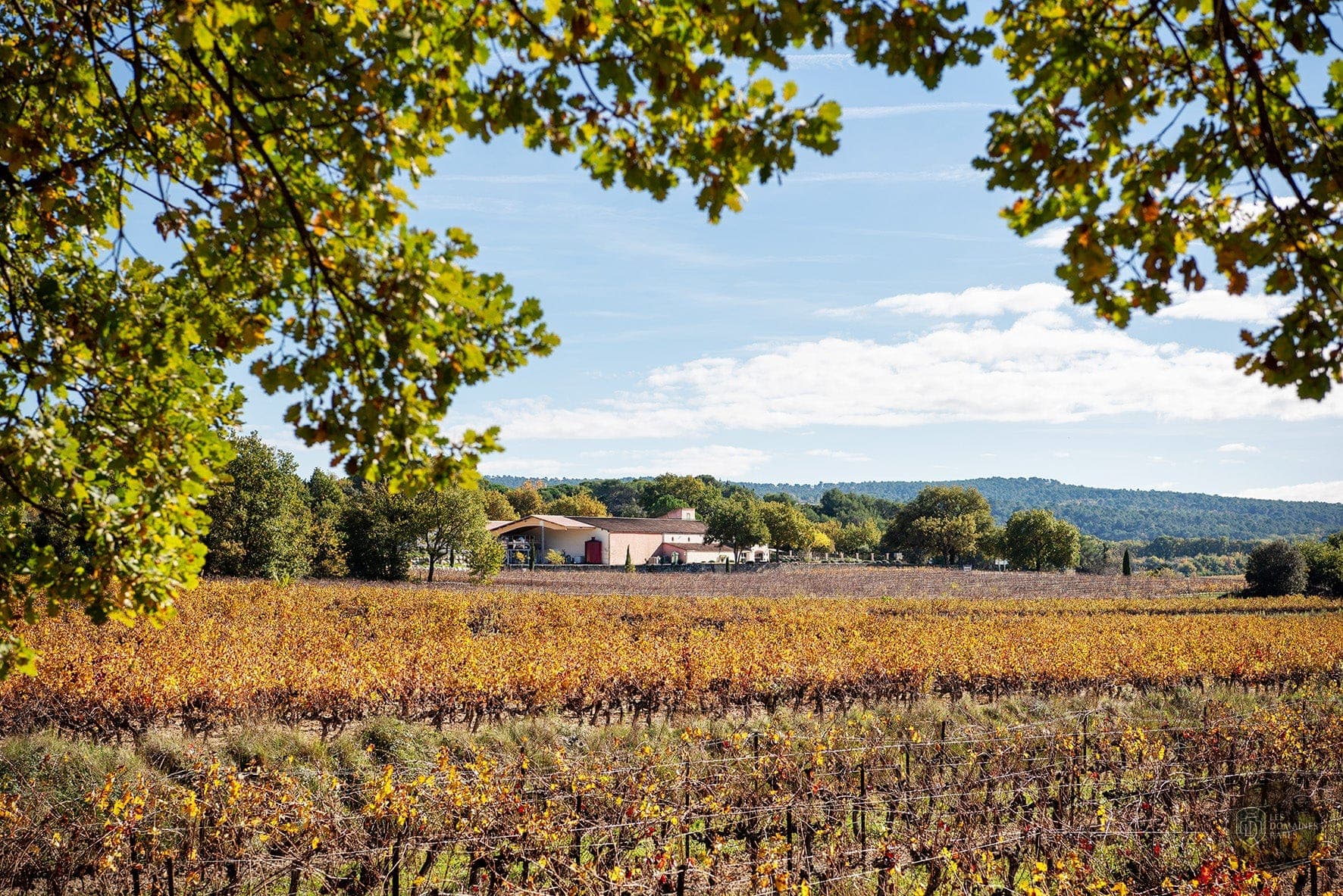 Vue extérieure du domaine Domaine Naïs à Rognes en Provence-Alpes-Côte d'Azur