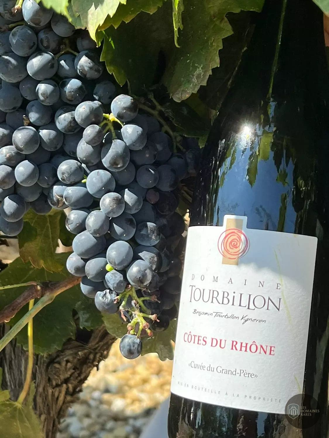 Vue du château Domaine Tourbillon à Lagnes en Provence-Alpes-Côte d'Azur