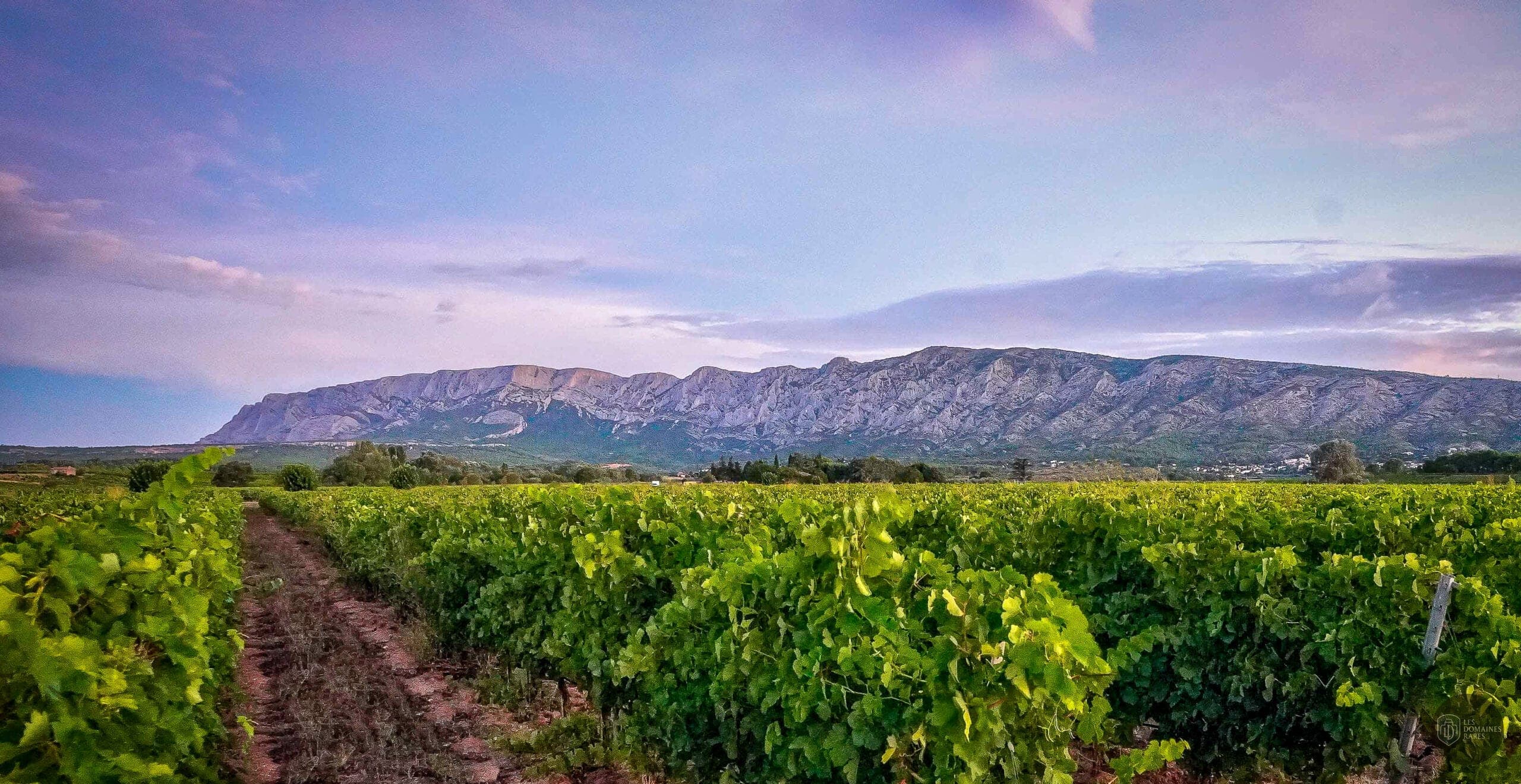 Vue extérieure du domaine Domaine Travelle en Provence-Alpes-Côte d'Azur
