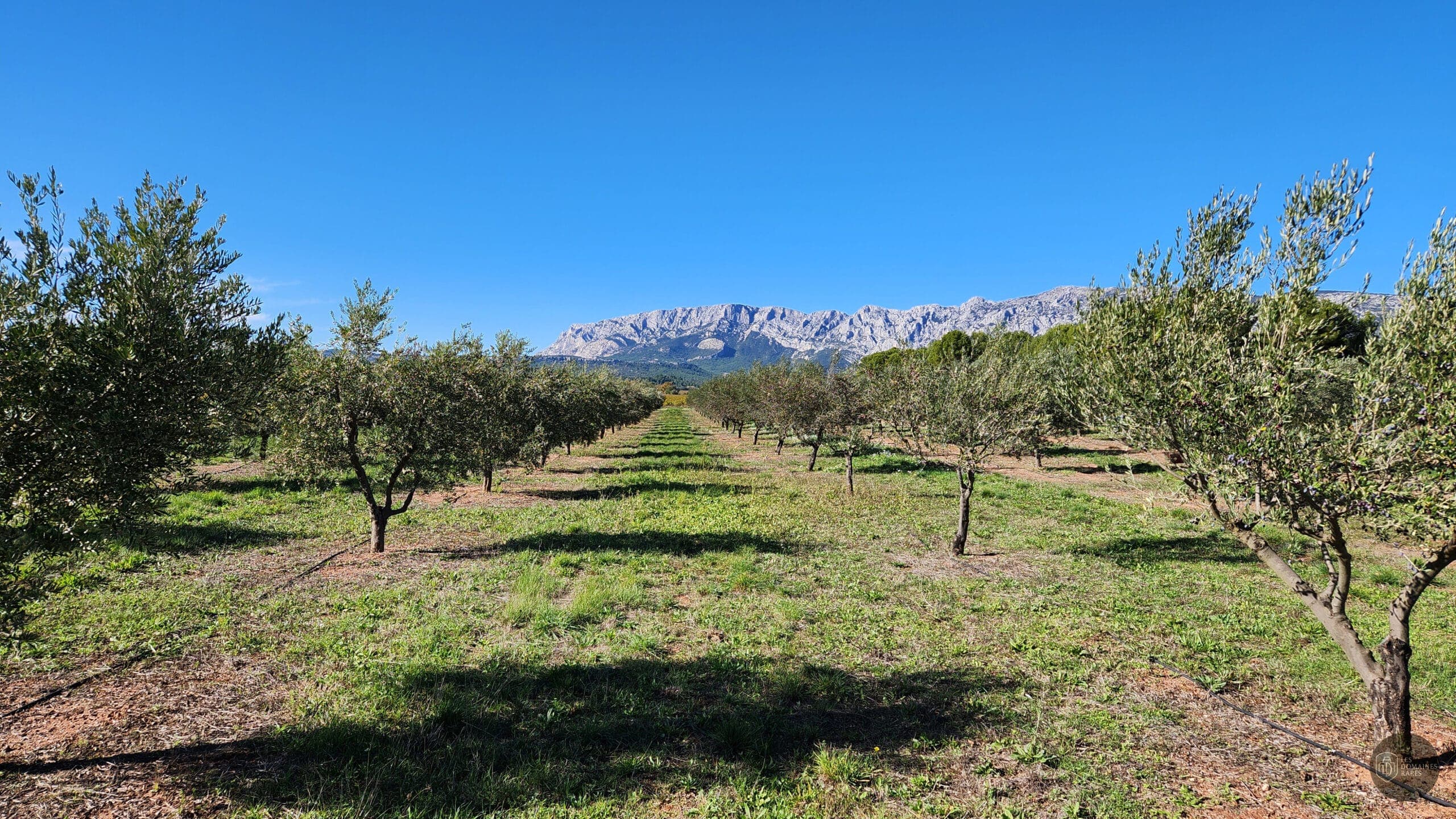 Vue extérieure du domaine Domaine Travelle en Provence-Alpes-Côte d'Azur