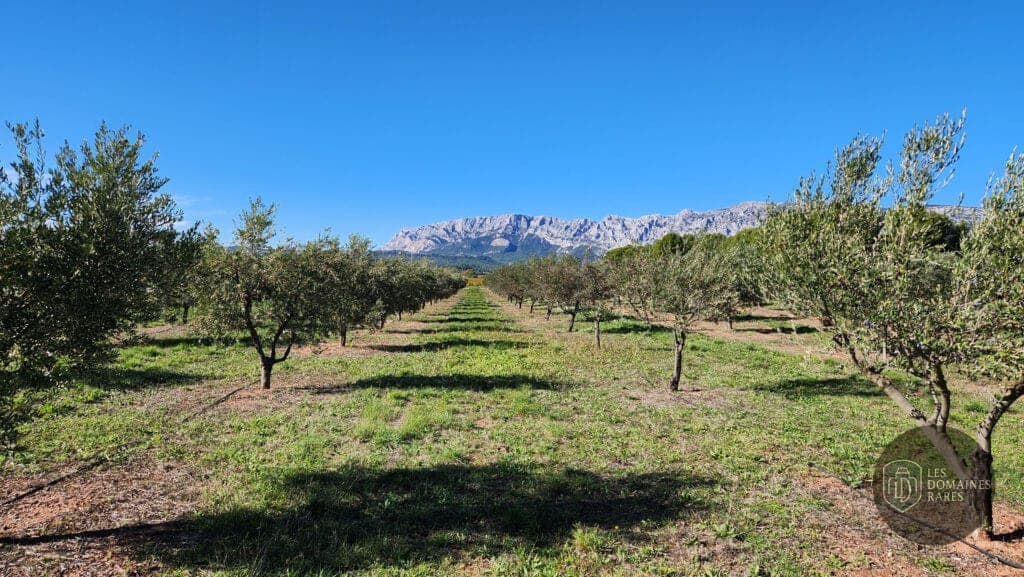 Vue extérieure du domaine Domaine Travelle en Provence-Alpes-Côte d'Azur