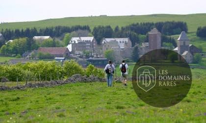 Vue du domaine Domaine de Baldassé en Occitanie