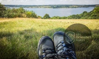 Vue du domaine Domaine de Baldassé en Occitanie