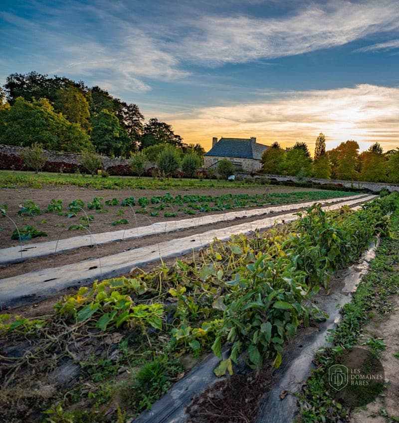 Vue extérieure du domaine Domaine de Boisgelin à Pléhédel en Bretagne
