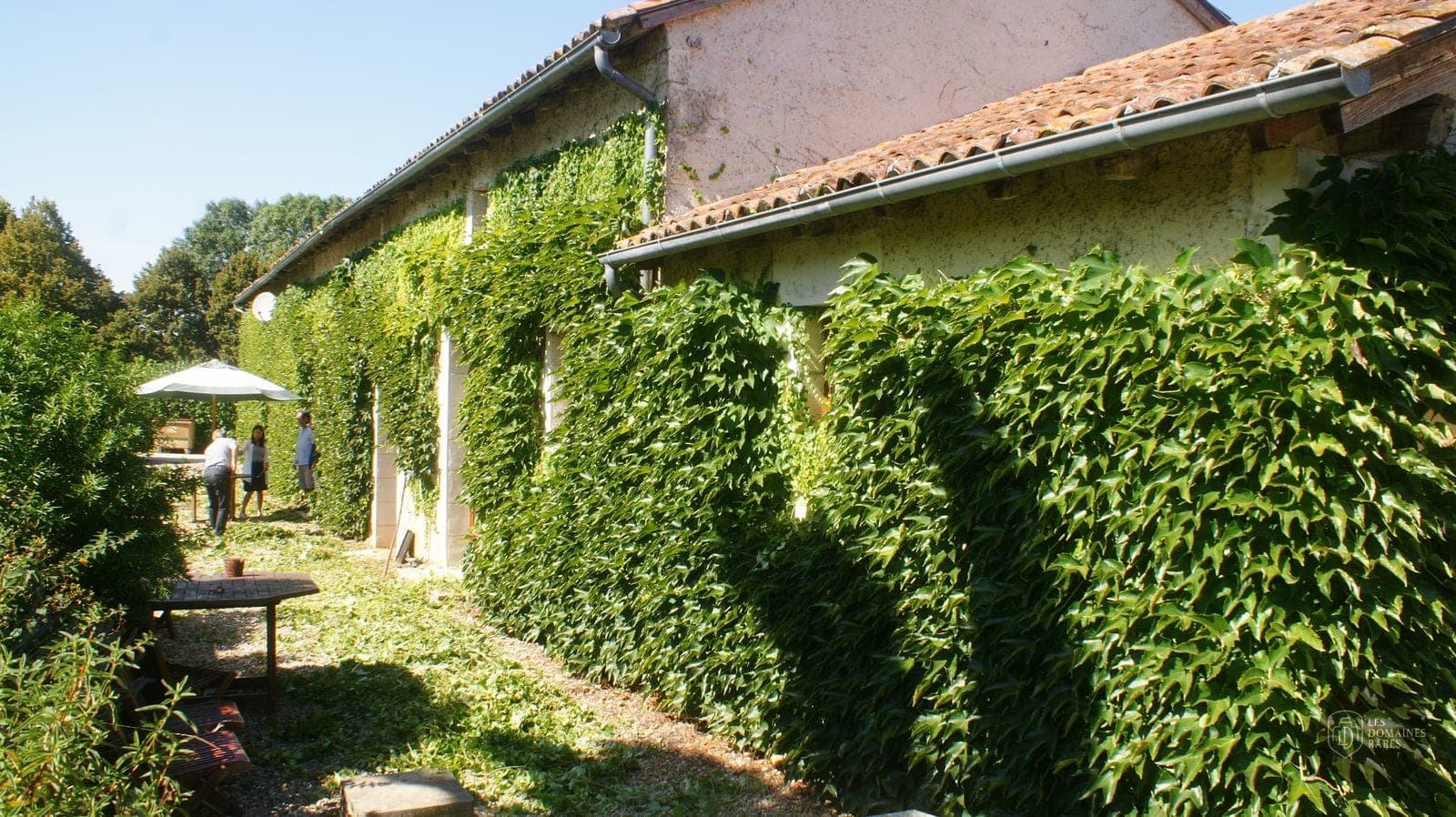 Vue extérieure du domaine Domaine de Busseroux en Nouvelle-Aquitaine