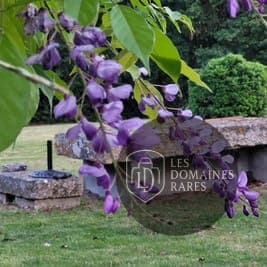 Vue extérieure du domaine Domaine de La Vaure en Nouvelle-Aquitaine