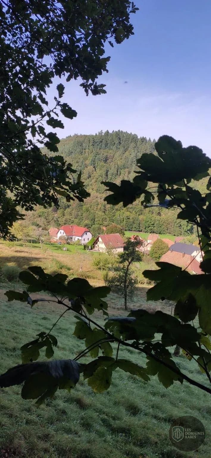 Vue extérieure du domaine Domaine de Lalaye à Lalaye en Grand Est