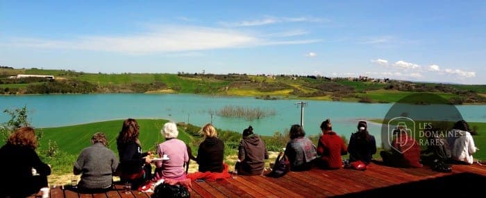 Vue extérieure du domaine Domaine de Milhas en Occitanie