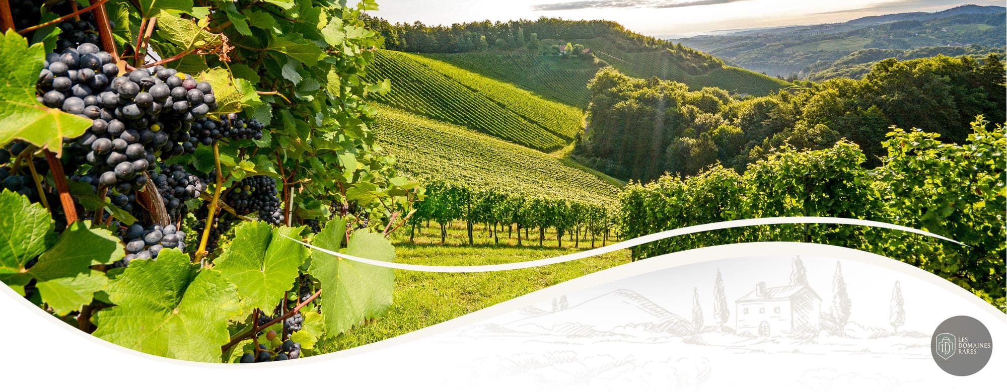 Domaine de Paguy