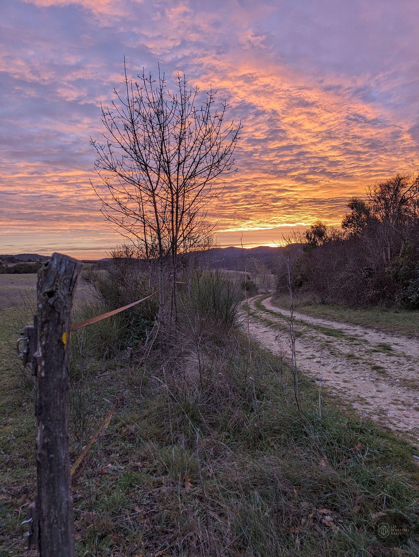Vue extérieure du gîte Domaine de Pommayrac à Verzeille en Occitanie