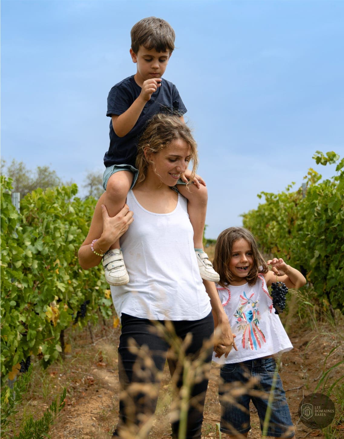 Vue extérieure du domaine Domaine de Rombeau à Rivesaltes en Occitanie