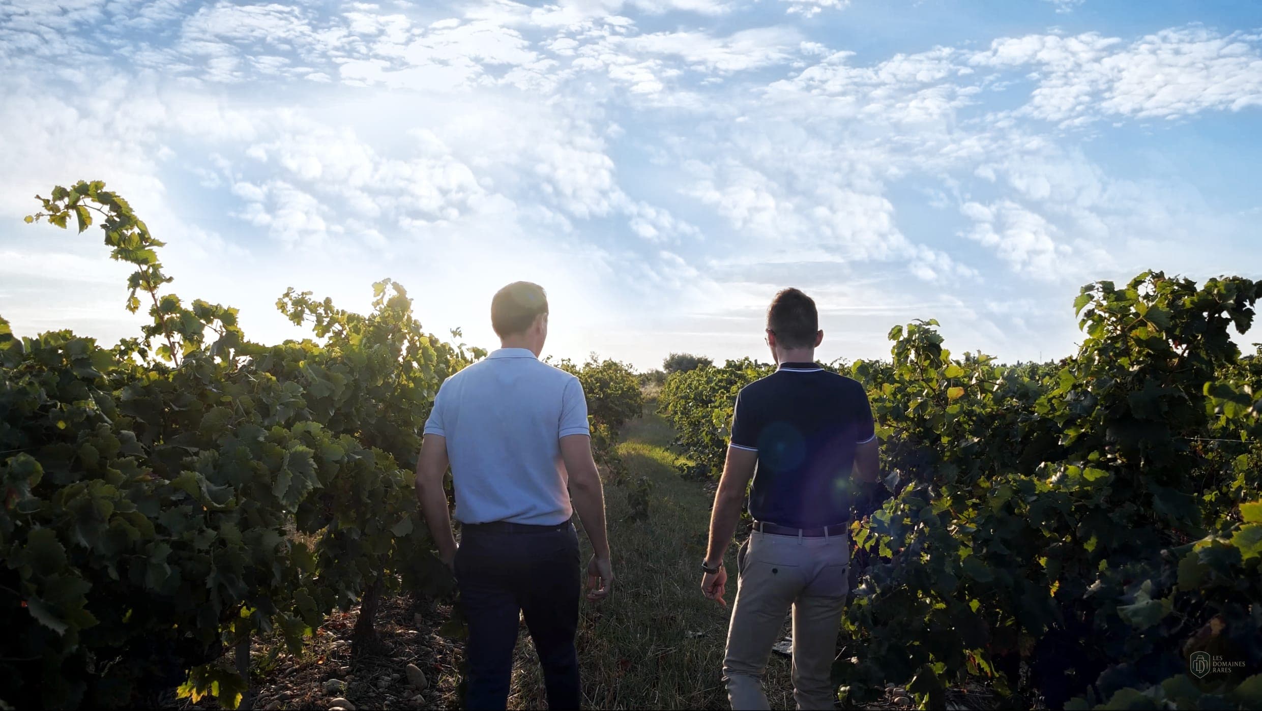 Vue extérieure du domaine Domaine de Rombeau à Rivesaltes en Occitanie
