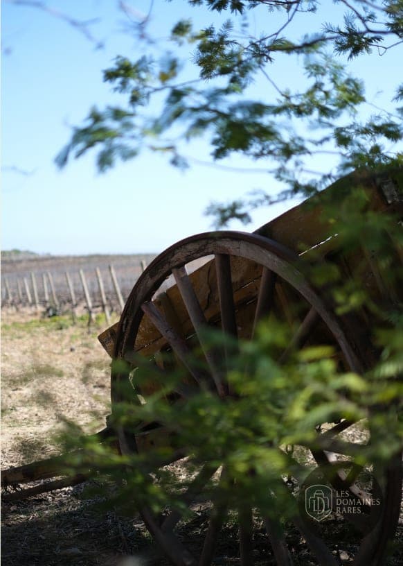 Vue extérieure du domaine Domaine de Rombeau à Rivesaltes en Occitanie