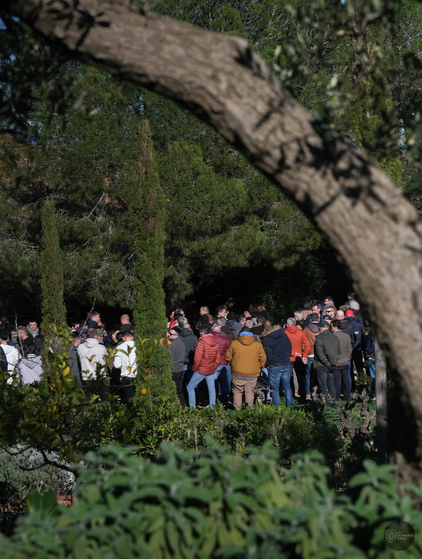 Domaine de Rombeau