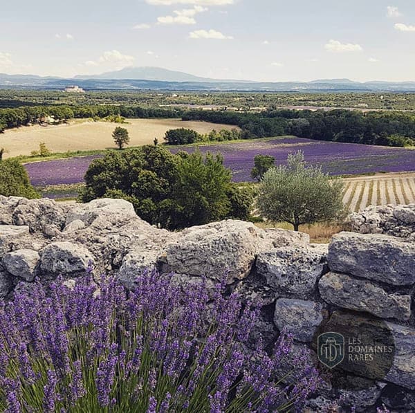 Vue extérieure du domaine Domaine de Sarson à Grignan en Auvergne-Rhône-Alpes