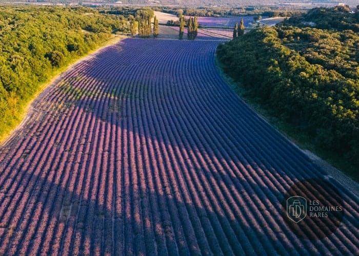 Vue extérieure du domaine Domaine de Sarson à Grignan en Auvergne-Rhône-Alpes
