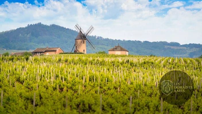 Vue extérieure du domaine Domaine de Vavril à Beaujeu en Auvergne-Rhône-Alpes