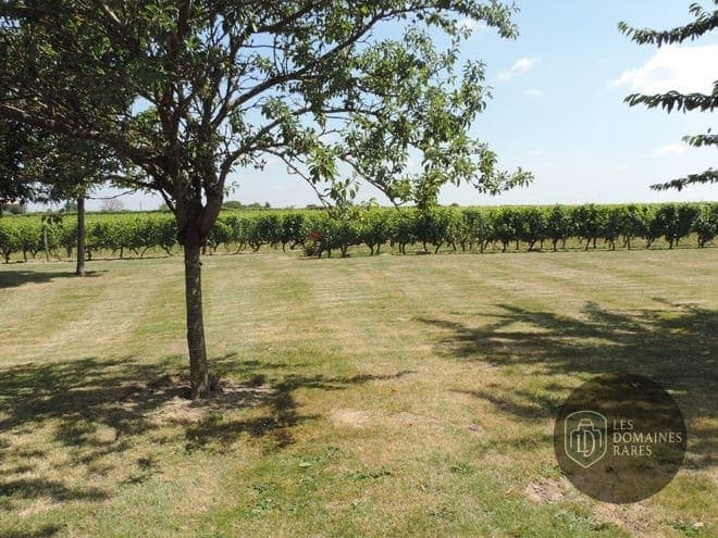 Vue extérieure du domaine Domaine de Villemont à Mirebeau en Nouvelle-Aquitaine