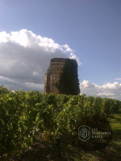 Vue extérieure du domaine Domaine de Villemont à Mirebeau en Nouvelle-Aquitaine