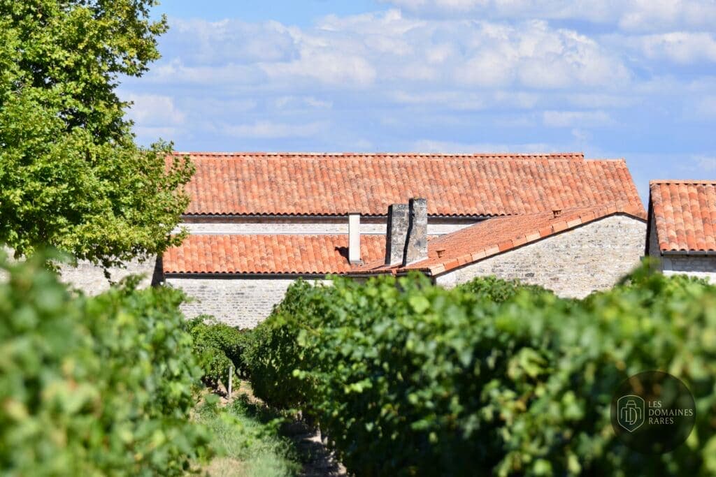 Vue extérieure du domaine Domaine de Villemont à Mirebeau en Nouvelle-Aquitaine
