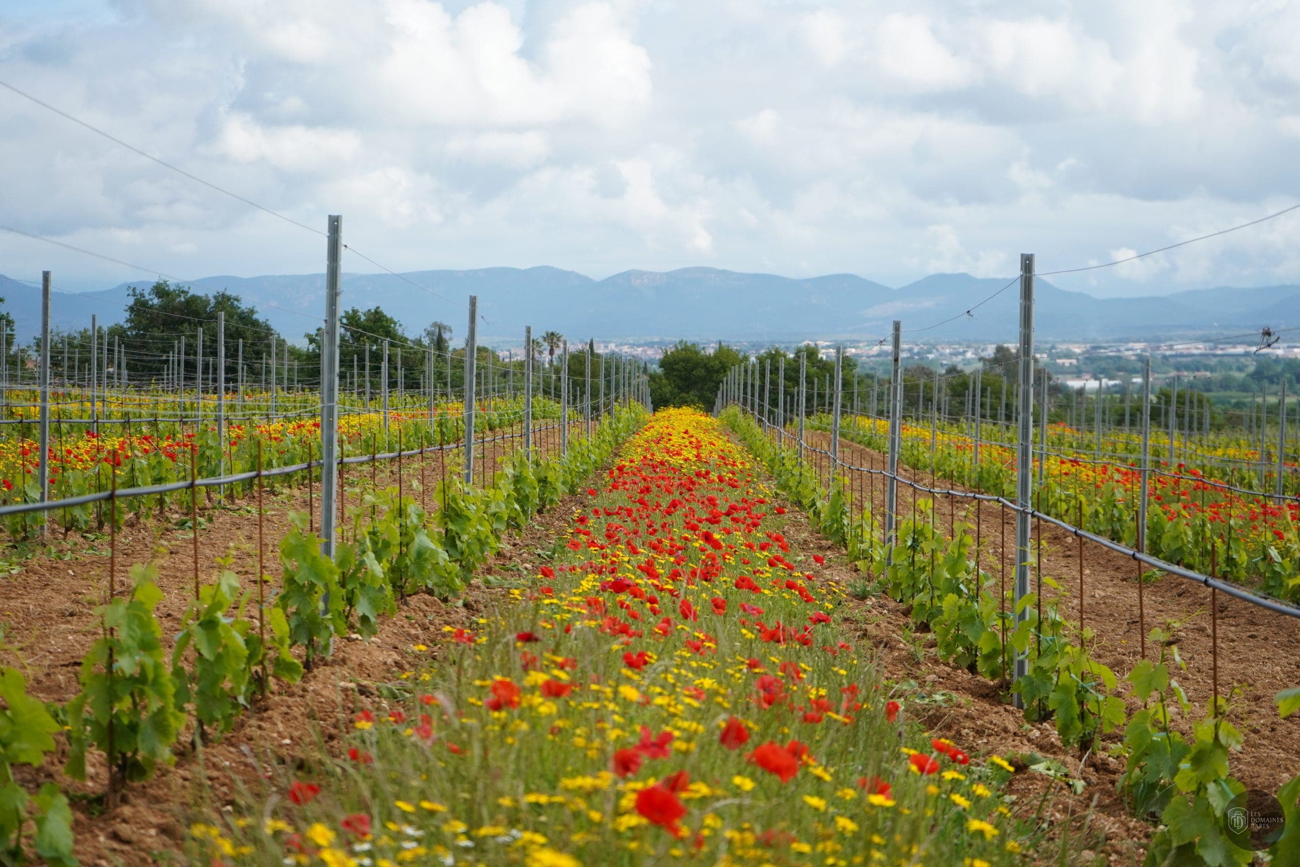 Vue extérieure du domaine Domaine des Planes en Provence-Alpes-Côte d'Azur